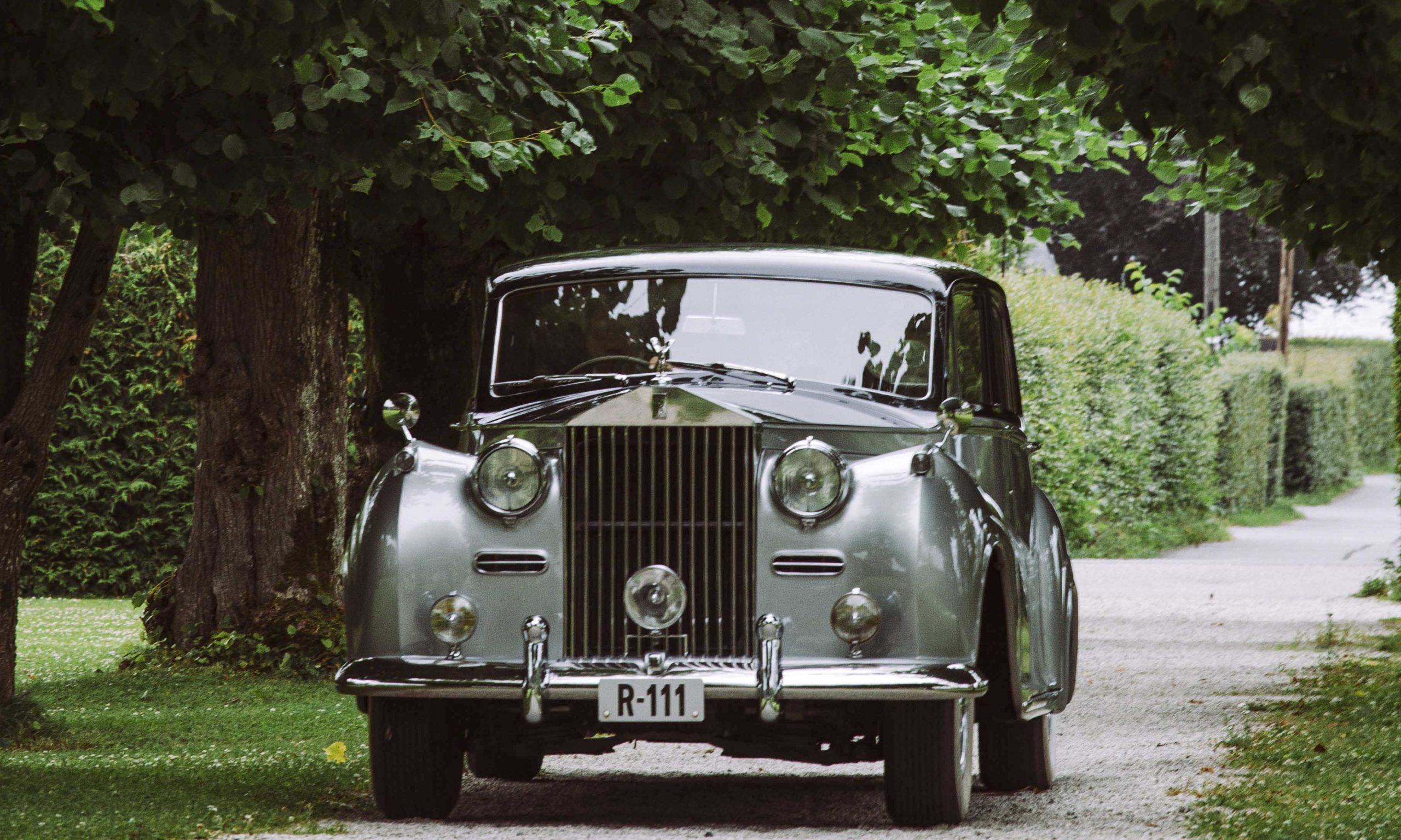 Buick bil i hagen