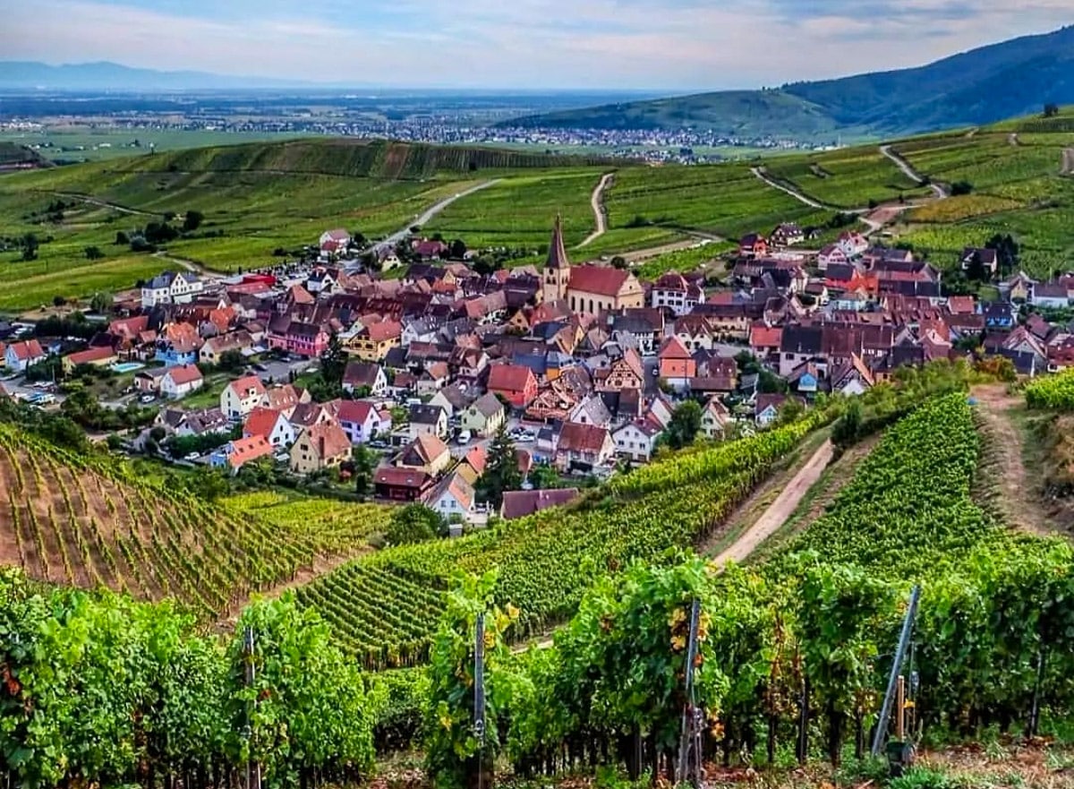 Alsace vindistrikt - Audrey Wlgweb