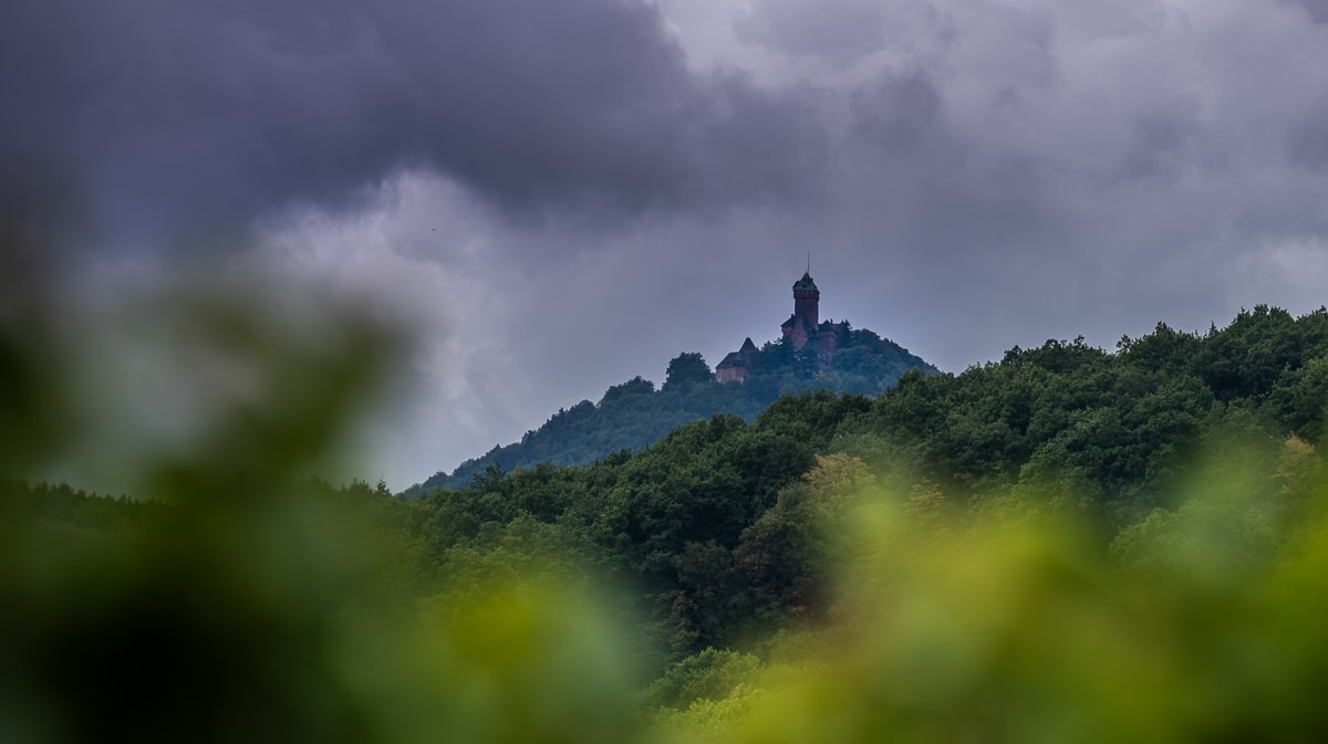 Haut-Koenigsbourg