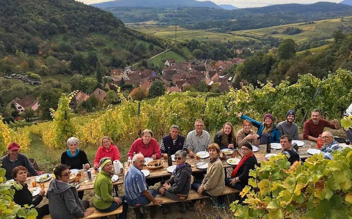 Innhøstingstemning - Domaine Achilléeweb